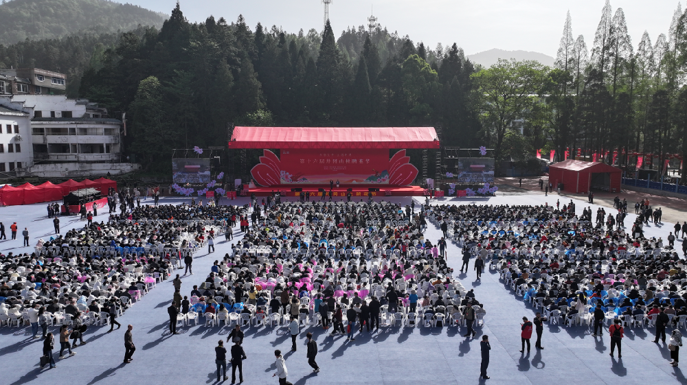 杜鹃花开映山红 文旅融合谱新篇——2025第十六届井冈山杜鹃花节开幕 